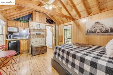 Lazy Z Resort - 31 Acres of Mountain Paradise Just minutes from - photo 35