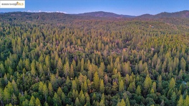 Lazy Z Resort - 31 Acres of Mountain Paradise Just minutes from - photo 39
