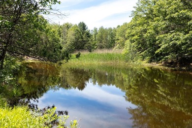 (private lake, pond, creek) Acreage For Sale in Bitely Michigan