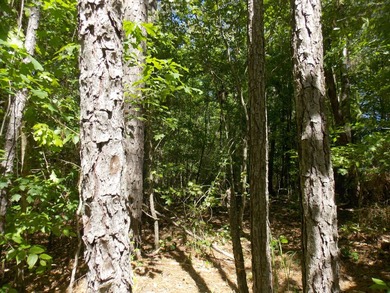 GOOD LAKE ACCESS FOR LESS-NO HOA-LOT SLOPES UP-HAS POWER AND - photo 1