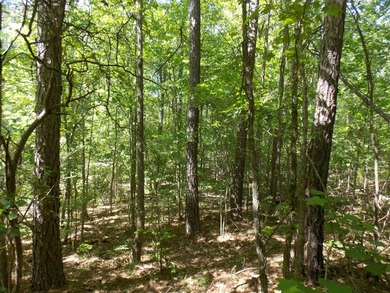GOOD LAKE ACCESS FOR LESS-NO HOA-LOT SLOPES UP-HAS POWER AND - photo 3