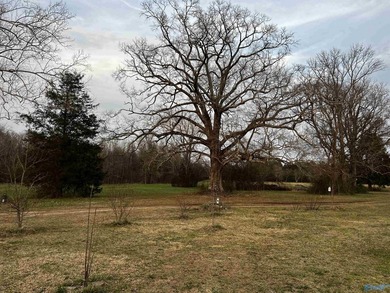 Welcome to peaceful country living at its finest! Built in 2020 - photo 43