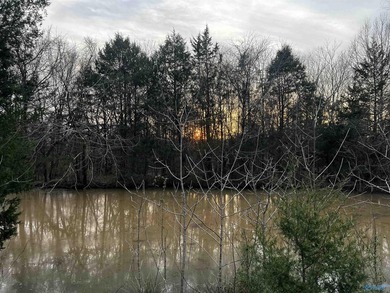 Welcome to peaceful country living at its finest! Built in 2020 - photo 44