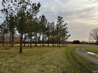 Welcome to peaceful country living at its finest! Built in 2020 - photo 45
