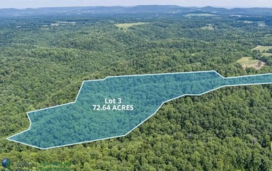 Lake Acreage For Sale in Albany, Kentucky