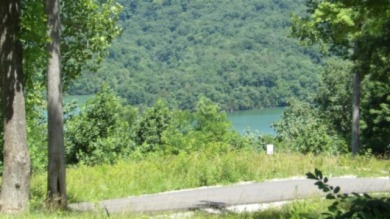 0.93 AC YEAR AROUND DALE HOLLOW LAKE VIEW - photo 2