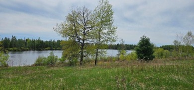Lake Acreage Sale Pending in Mercer, Wisconsin