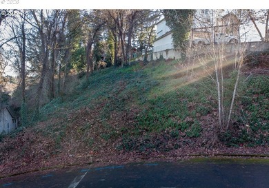 Build your dream home in coveted Waverly Terrace, a rare pocket - photo 5