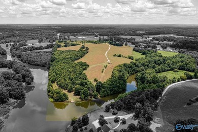 (private lake, pond, coastal) Acreage For Sale in Baileyton Alabama