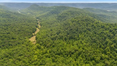 Lake Acreage For Sale in Irvine, Kentucky