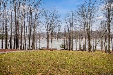 Welcome to 1697 Peninsula Drive, a beautiful log-style lakefront - photo 48