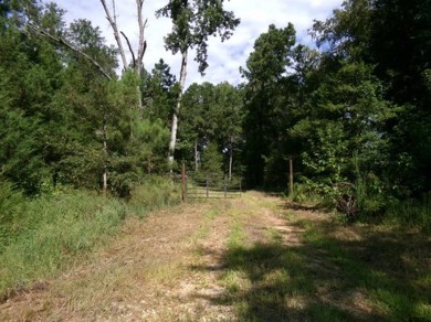 Lake Acreage For Sale in Tyler, Texas