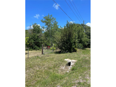 (private lake, pond, creek) Lot For Sale in Clermont Florida