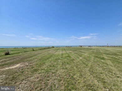 Enjoy waterfront living in this updated 4 bedroom, 2 bath - photo 5