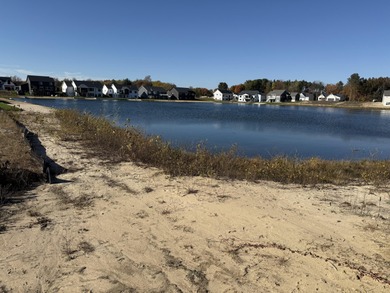 (private lake, pond, creek) Lot For Sale in Hudsonville Michigan