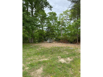 High ground on Presley Creek. Build a waterfront cottage on this - photo 3