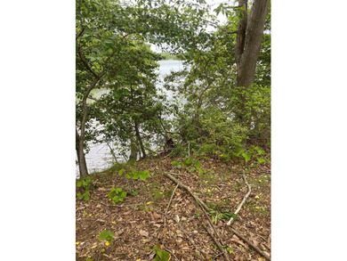 High ground on Presley Creek. Build a waterfront cottage on this - photo 8