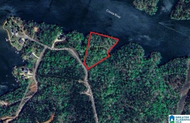 Lake Acreage For Sale in Rockford, Alabama