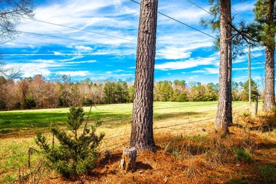 Welcome to Five Oaks Farms in Appling Ga. A Total of ten estate - photo 1