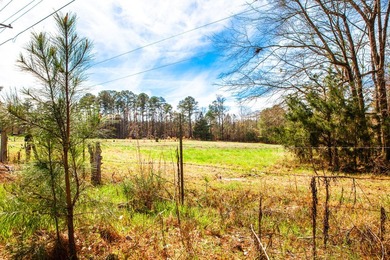 Welcome to Five Oaks Farms in Appling Ga. A Total of ten estate - photo 4