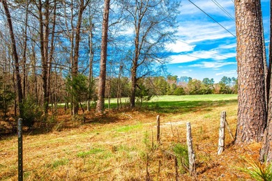 Welcome to Five Oaks Farms in Appling Ga. A Total of ten estate - photo 5