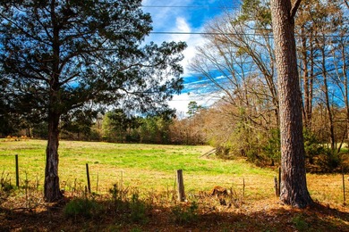 Welcome to Five Oaks Farms in Appling Ga. A Total of ten estate - photo 6