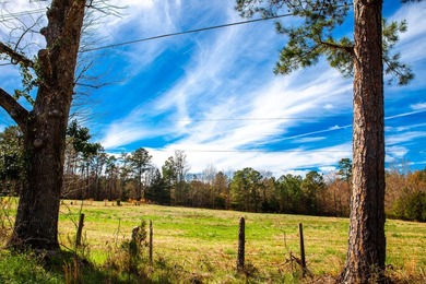 Welcome to Five Oaks Farms in Appling Ga. A Total of ten estate - photo 7