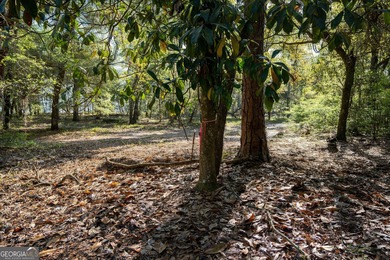 Sadlers Creek Bluff at Sheffield Island is an exceptional - photo 13