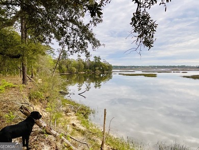 Sadlers Creek Bluff at Sheffield Island is an exceptional - photo 14