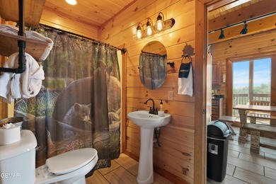 Stunning Mountain & Lake View Retreat Near Douglas Lake: Proven - photo 15