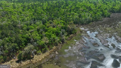 Sadlers Creek Bluff at Sheffield Island is an exceptional - photo 17