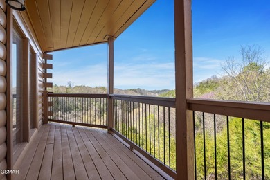 Stunning Mountain & Lake View Retreat Near Douglas Lake: Proven - photo 17