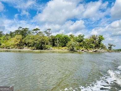 Sadlers Creek Bluff at Sheffield Island is an exceptional - photo 20