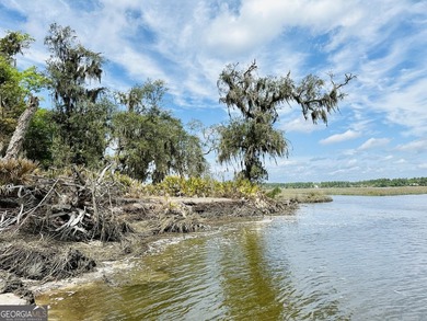 Sadlers Creek Bluff at Sheffield Island is an exceptional - photo 21