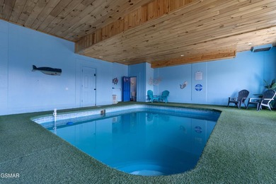 Stunning Mountain & Lake View Retreat Near Douglas Lake: Proven - photo 21