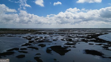 Sadlers Creek Bluff at Sheffield Island is an exceptional - photo 22