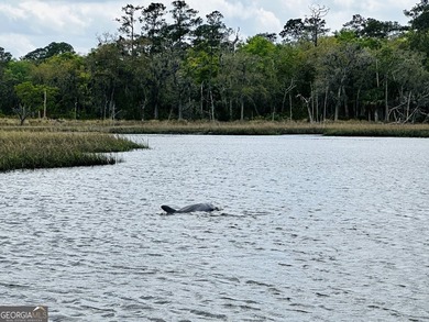 Sadlers Creek Bluff at Sheffield Island is an exceptional - photo 23