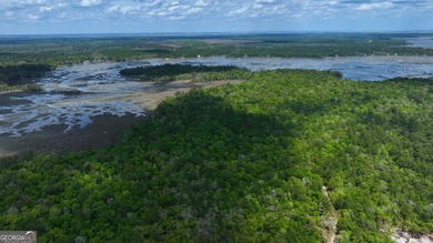 Sadlers Creek Bluff at Sheffield Island is an exceptional - photo 24