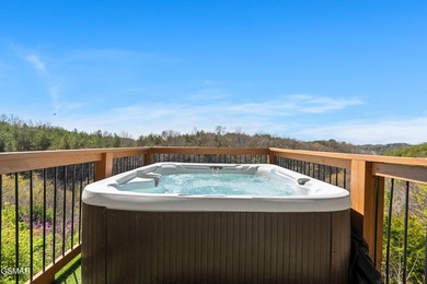 Stunning Mountain & Lake View Retreat Near Douglas Lake: Proven - photo 24