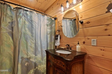 Stunning Mountain & Lake View Retreat Near Douglas Lake: Proven - photo 28
