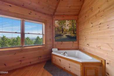 Stunning Mountain & Lake View Retreat Near Douglas Lake: Proven - photo 31