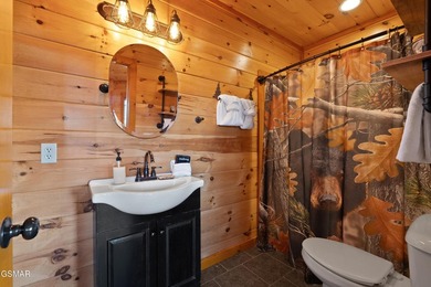 Stunning Mountain & Lake View Retreat Near Douglas Lake: Proven - photo 32