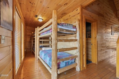 Stunning Mountain & Lake View Retreat Near Douglas Lake: Proven - photo 34