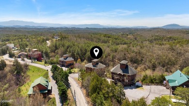 Stunning Mountain & Lake View Retreat Near Douglas Lake: Proven - photo 40