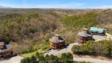 Stunning Mountain & Lake View Retreat Near Douglas Lake: Proven - photo 42
