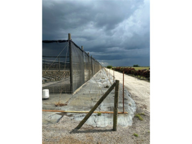 (private lake, pond, creek) Acreage For Sale in Labelle Florida