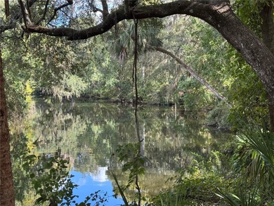 Withlacoochee River Acreage For Sale in Inglis Florida