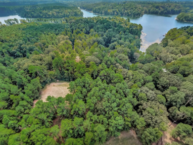 East Texas Lake Pinkston waterfront home on 2.62 Acres - photo 27