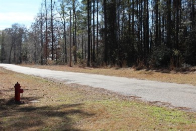 William Dannelly Reservoir / Lake Dannelly Lot For Sale in Gee's Bend Alabama