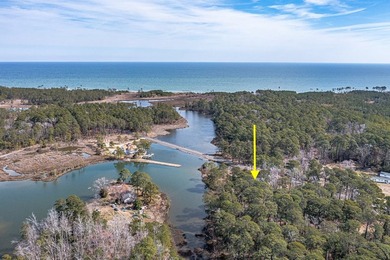 Great lot toward the end of Windmill Point Road just before - photo 7
